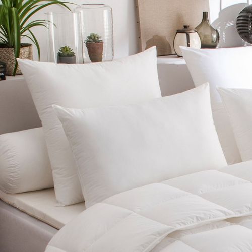 Lot De 2 Oreillers Microstar Médium Anti-acariens "dodo" - Blanc - 50x70 Cm