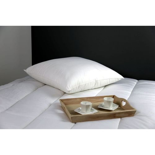 Lot De 2 Oreillers Microstar Médium Anti-acariens "dodo" - Blanc - 50x70 Cm