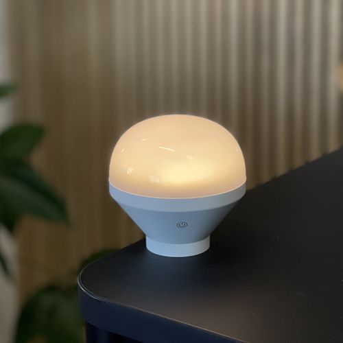 Ampoule LED Rechargeable Lys Blanc  H 15cm