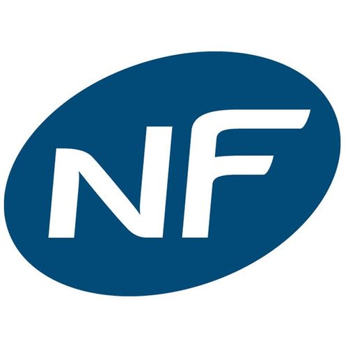 Radiateur électrique Fonte Tana 1500w