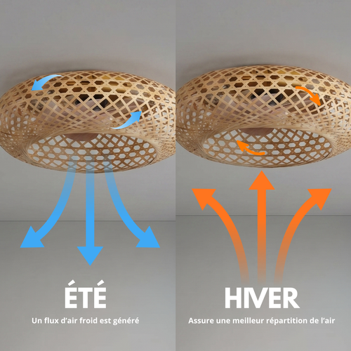 Ventilateur Plafond E27 Solvia D48cm Rotin