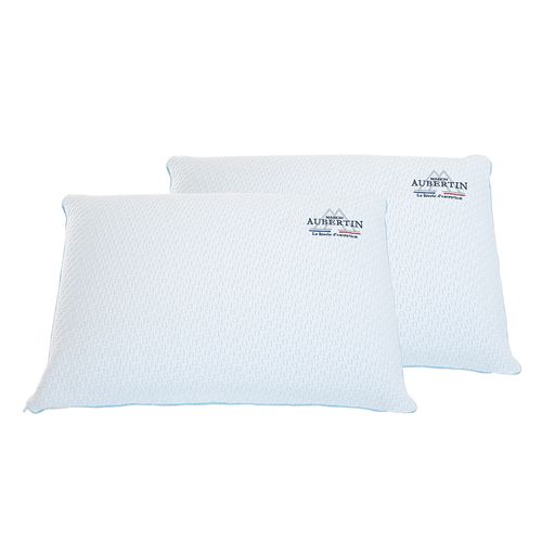 Lot De 2 Oreillers Mémoire De Forme 60 X 40 Cm