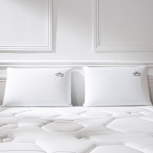 Lot De 2 Oreillers Mémoire De Forme 60 X 40 Cm
