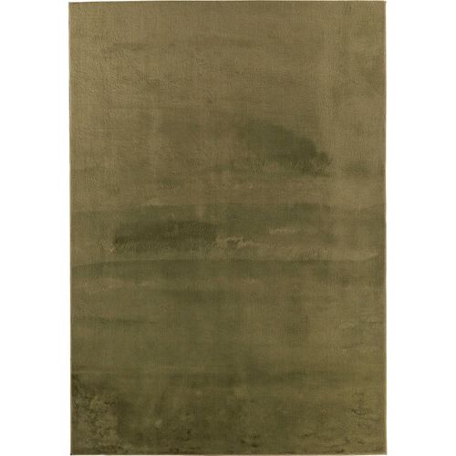 Tapis Vert Uni Très Doux Antidérapant Lavable 200 X 290 Cm Vert