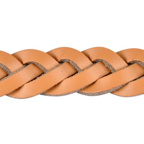 Laisse En Cuir Tressé Naturel 120 Cm Pour Chien