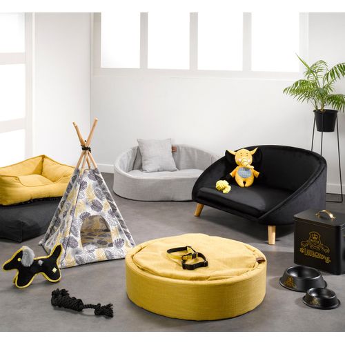 Jeu Corde Multi Noeuds Noir Pour Chien