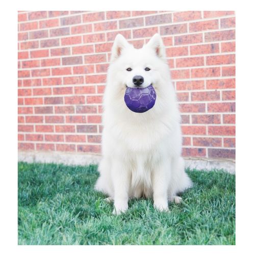 Jeu Kong Flexball Ballon De Football Pour Chien Pourpre