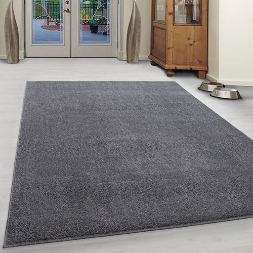 Tapis D'intérieur Élégant Californie Gris Clair 80x150 Cm