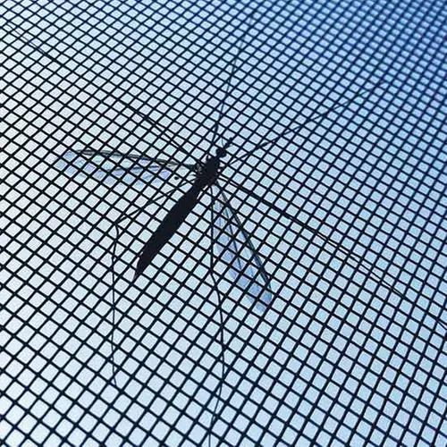 Moustiquaire Pour Fenêtre Avec Fixation Scratch