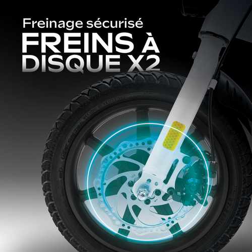 Draisienne électrique Adulte E-bike 140 Rouge – Moteur 1000w - Autonomie Jusqu'a