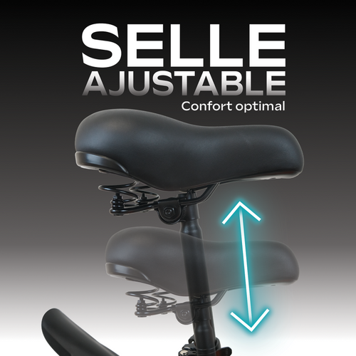 Draisienne électrique Adulte E-bike 140 Rouge – Moteur 1000w - Autonomie Jusqu'a