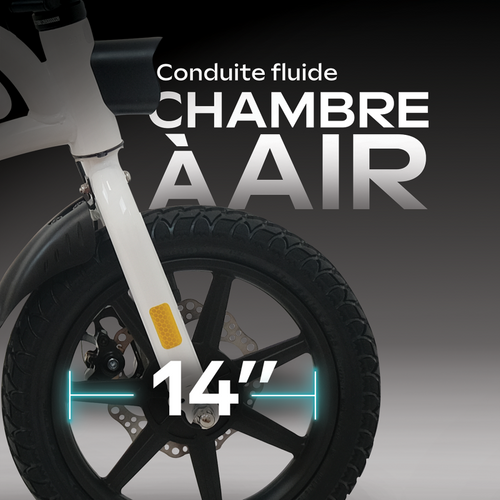 Draisienne électrique Adulte E-bike 140 Rouge – Moteur 1000w - Autonomie Jusqu'a