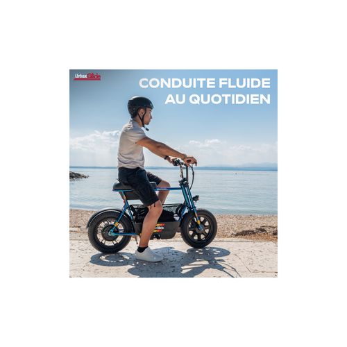 Draisienne Électrique Adulte Thunder 160 – Moteur 1100w - Autonomie Jusqu'a 30 K