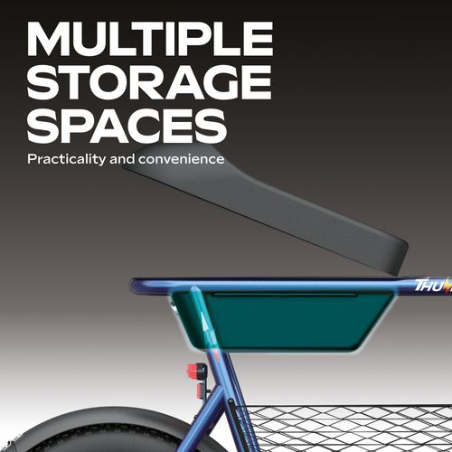 Draisienne Électrique Adulte Thunder 160 – Moteur 1100w - Autonomie Jusqu'a 30 K