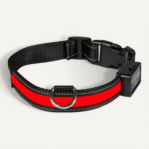 Collier Lumineux Light Collar Rechargeable S Rouge Pour Chien