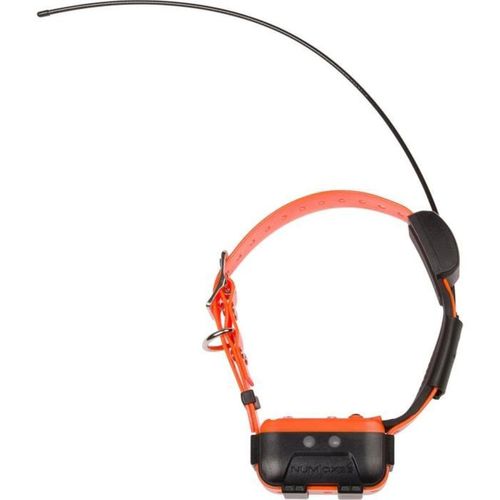 Canicom Gps 2 - Kit Localisation Et Éducation Chien, Collier Ip67, Portée 15 Km