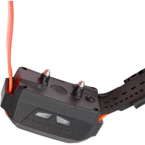 Canicom Gps Mini - Collier Gps Compact Et Éducatif Pour Petits Chiens, Ip67