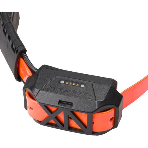 Canicom Gps Mini - Collier Gps Compact Et Éducatif Pour Petits Chiens, Ip67