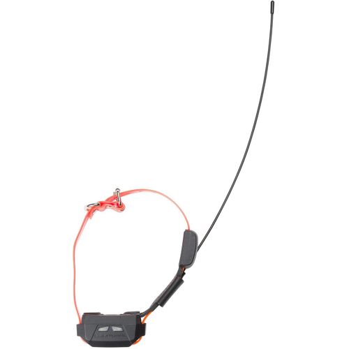 Canicom Gps Mini - Collier Gps Compact Et Éducatif Pour Petits Chiens, Ip67