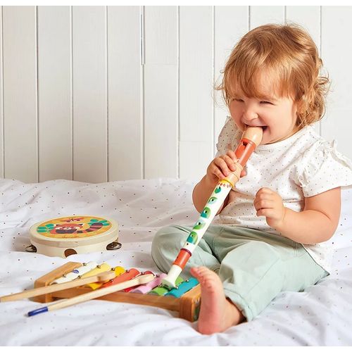 Jeu D Imitation  Gioia Set 4 Instruments