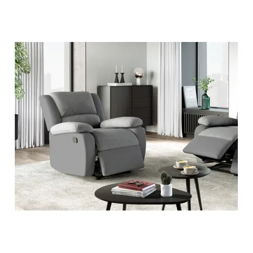 Relaxxo - Fauteuil Relaxation 1 Place Microfibre Et Simili Leo - Gris