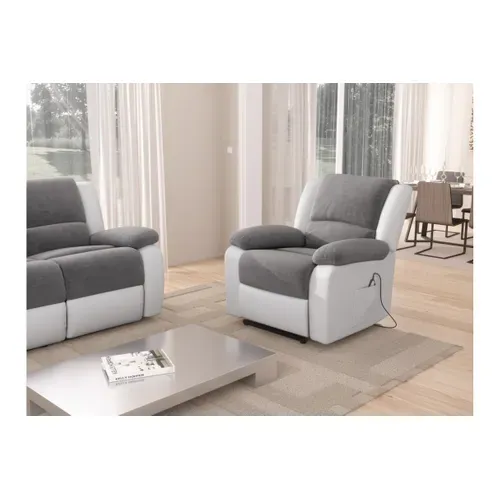 Relaxxo - Fauteuil De Relaxation Releveur électrique 1 Place Microfibre / Simili Leo - Blanc Et Gris