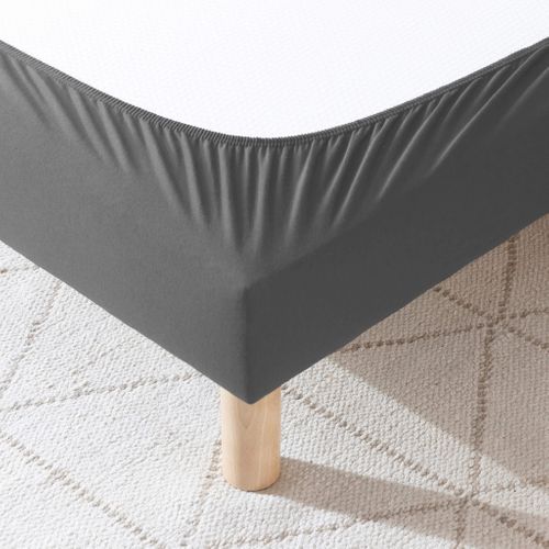 Cache Sommier Coton Jersey Anthracite 140x190