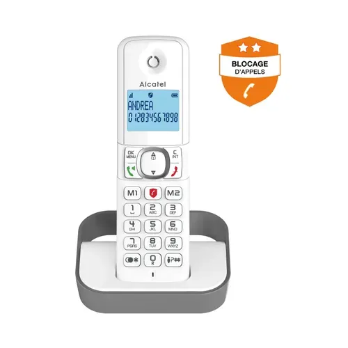 Téléphone sans fil ALCATEL F 860 Solo Gris vue de face