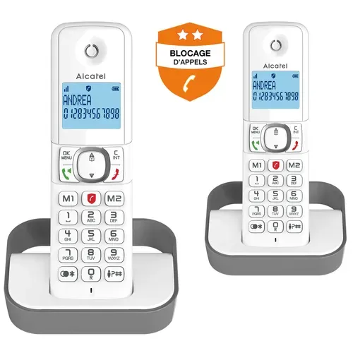 Pack téléphone sans fil ALCATEL  F 860 DUO GRIS vue 3/4