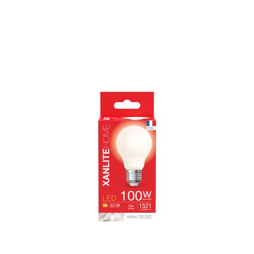 Ampoule Led standard E27 100 Blanc froid