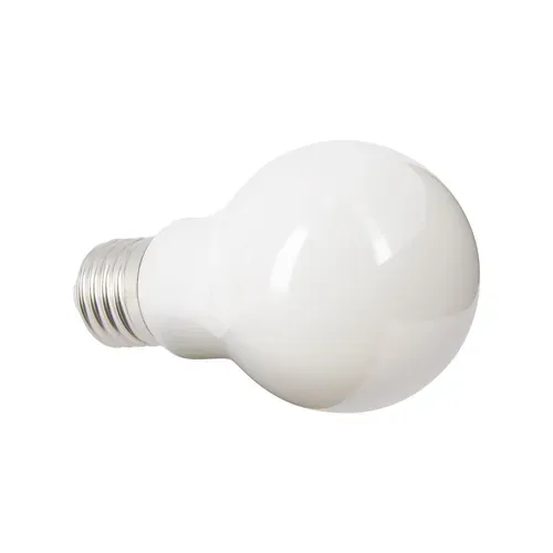 Ampoule Led standard E27 100  Blanc froid