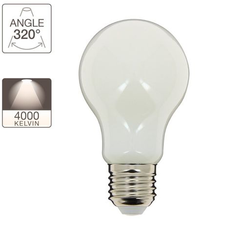 Ampoule Led standard E27 75W  Blanc froid vue détaillée