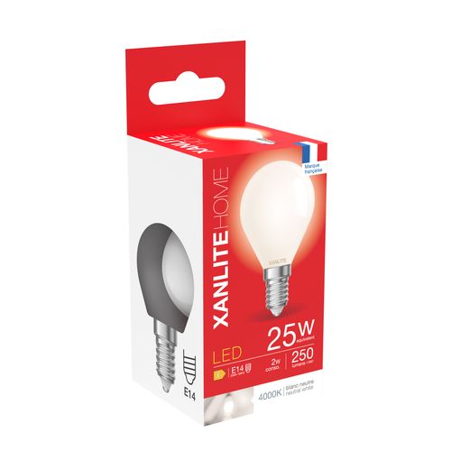 Ampoule LED Globe E14  Blanc froid