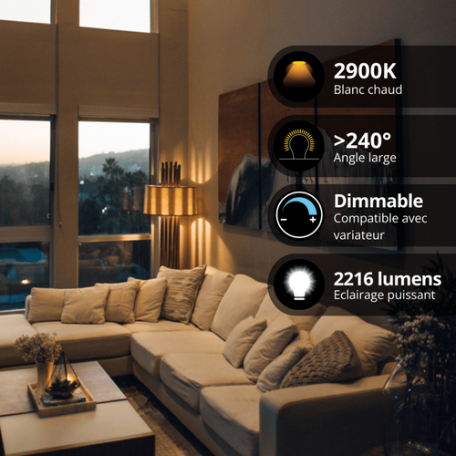 Lot De 2 Ampoules Halogènes Culot R7s, 78mm, 2216 Lumens, 2900 Kelvins, Blanc Chaud Dimmable