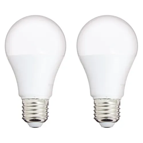 Lot de 2 ampoules LED standard TIMOTHEE E27 40W vue de face