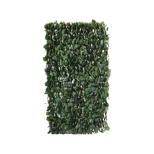 Clôture En Treillis De Saule "fragon" - 200 X 100 Cm - Vert