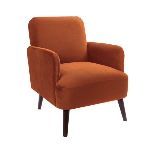 Fauteuil Rétro En Velours Pieds Bois Foncé
