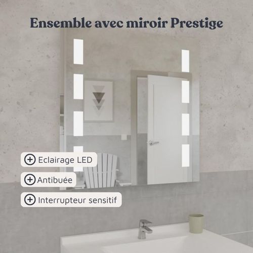 Meuble Proline 80 Cm Avec Plan Vasque Et Miroir Prestige- Bois- Résine