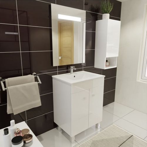 Meuble Ecoline 60 Cm Avec Plan Vasque Et Miroir Elégance Ht80 - Blanc