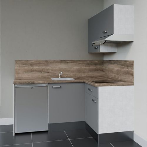 Kitchenette Ka02 - Façades : Gris - Plan Travail : Bois - Crédences : Oui - électro : Inox