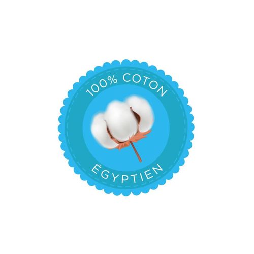 Serviette De Plage Marin 100 % Coton égyptien 450g/m² 90x170 Cm - Drap De Plage à Rayures Motif