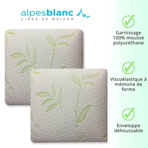 Lot De 2 Oreillers Carrés 60x60 Cm Mémoire De Forme Visco - Soutien Cervical, Anti-allergique,