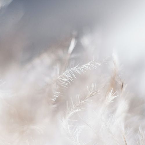 Couette Hiver 90% Duvet 300 G/m² 240x260 Cm - Fabrication Française - Chaude Et Gonflante