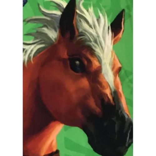 Plaid Sherpa 100 X 150 Cm Link Et Epona, Multicolore