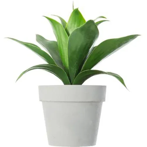 Plante Artificielle En Ciment Et Plastique, Gris - Dim : L.28 X L.28 X H.34 Cm