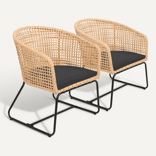 Lot De 2 Fauteuils En Rotin Synthétique Avec Coussins Rina