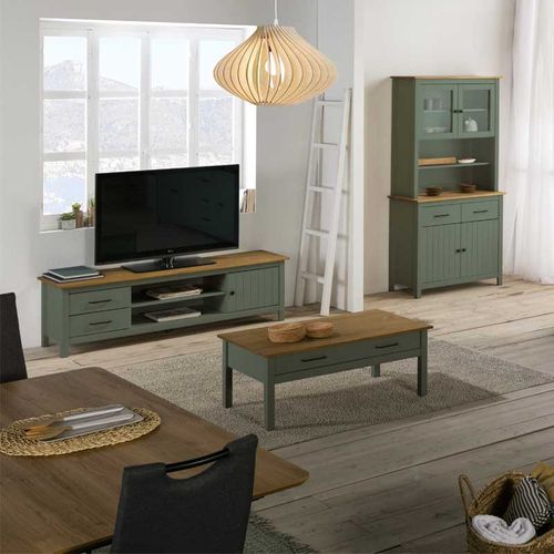 Meuble TV 1 Porte 2 Tiroirs Bois/vert - Daranmi