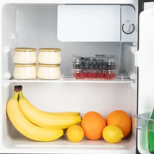 Mini Réfrigérateur Pose Libre 45L - Fgx470