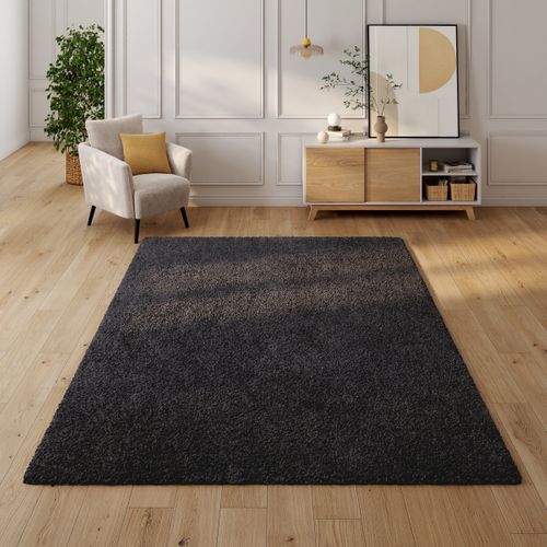 Tapis 200x290 cm SIENA Anthracite vue d'ambiance 1