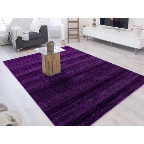 Julia - Tapis Uni à Dégradé - Lila 120 X 170 Cm